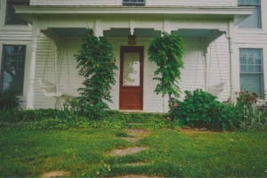 Plants And Greenery into Your Porch