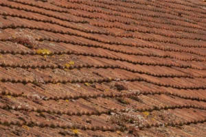 Sagging Porch Roof